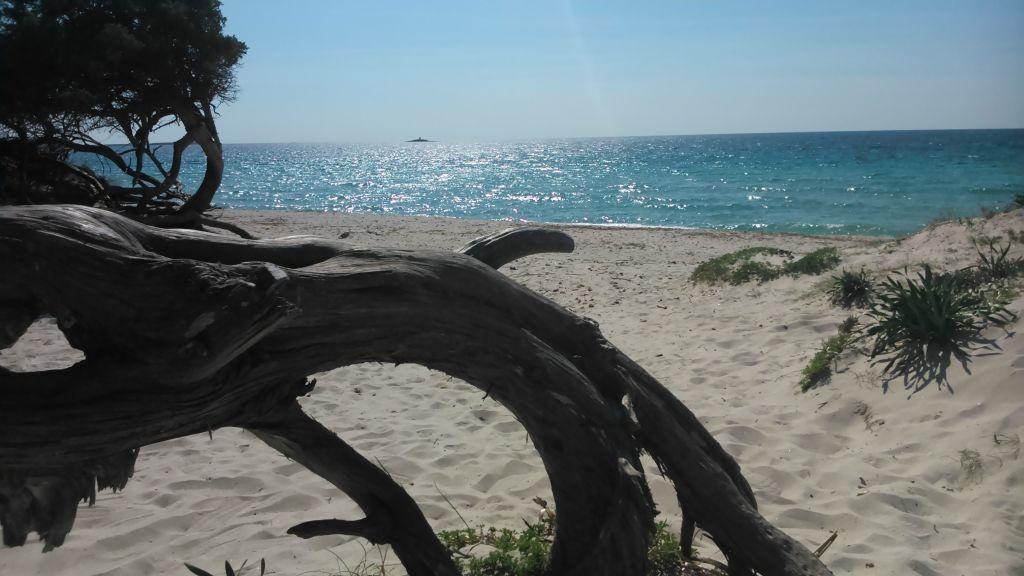 Istentales Alghero Dış mekan fotoğraf
